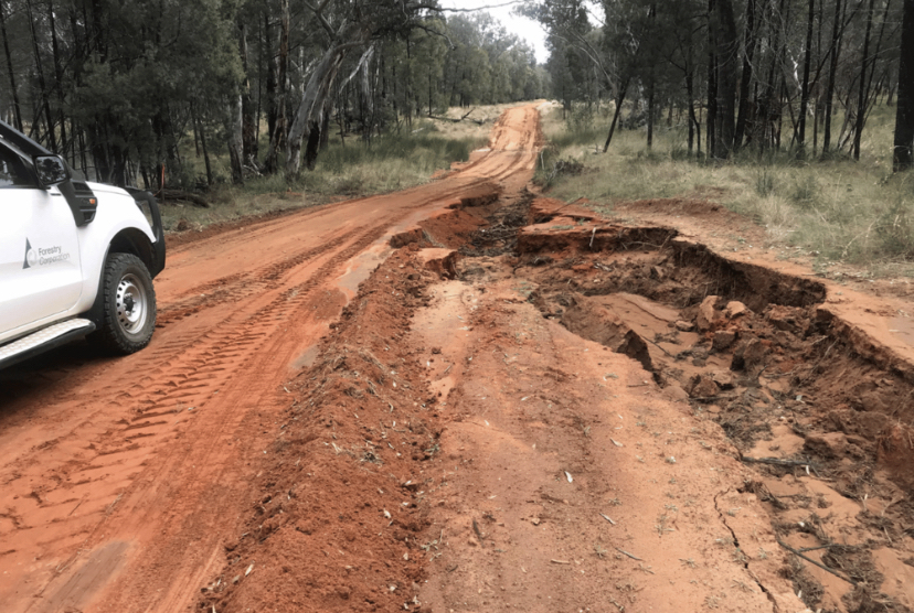Pilliga Forest roads warning The Coonamble Times
