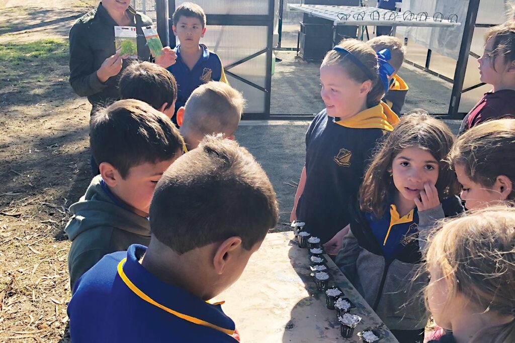 Food Ladder Provides a Greenhouse for CPS The Coonamble Times