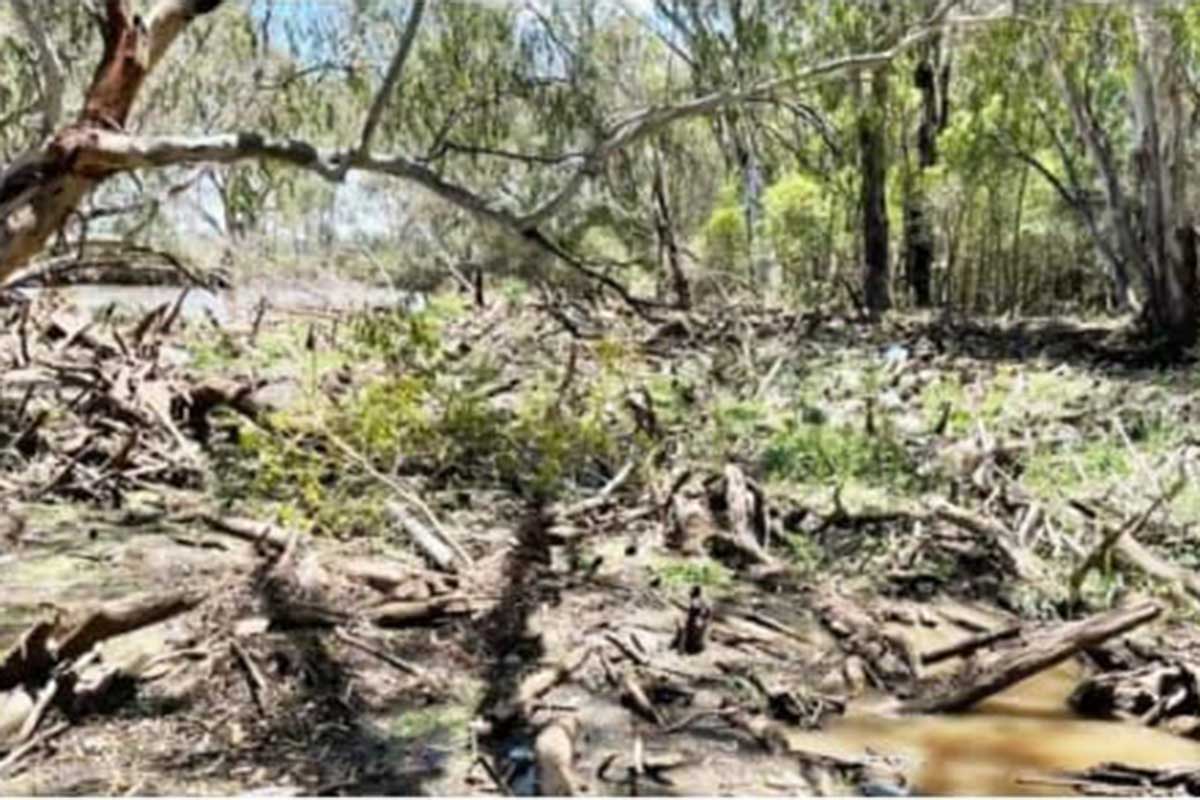 Raft removal set to start | The Coonamble Times