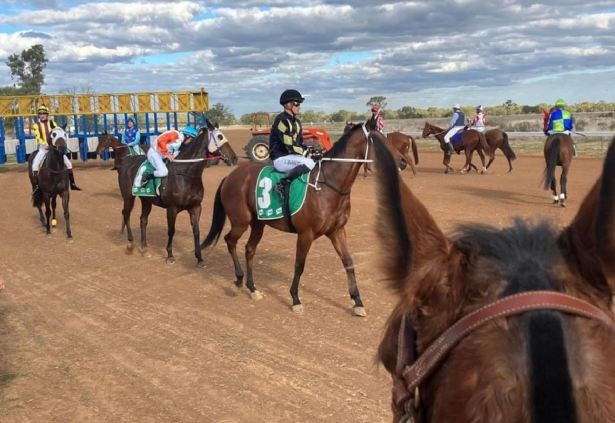 Carinda race committee overcome rain for promising race day | The ...