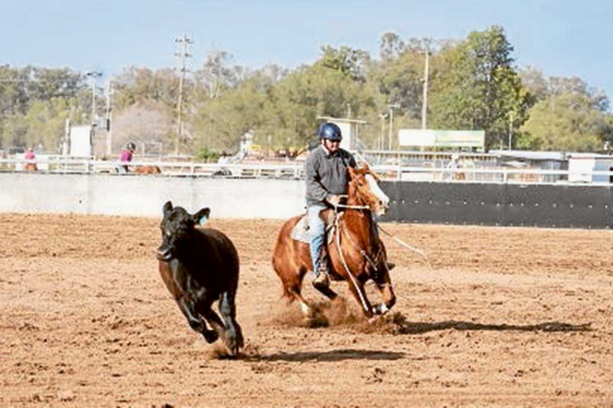 Better late than never for Coonamble Campdraft | The Coonamble Times