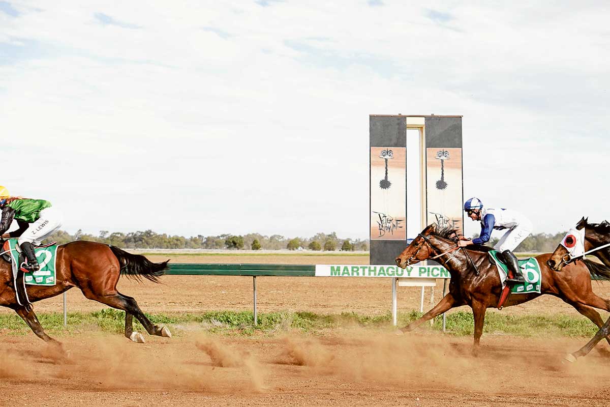 Saturday’s Marthaguy Picnics look promising | The Coonamble Times