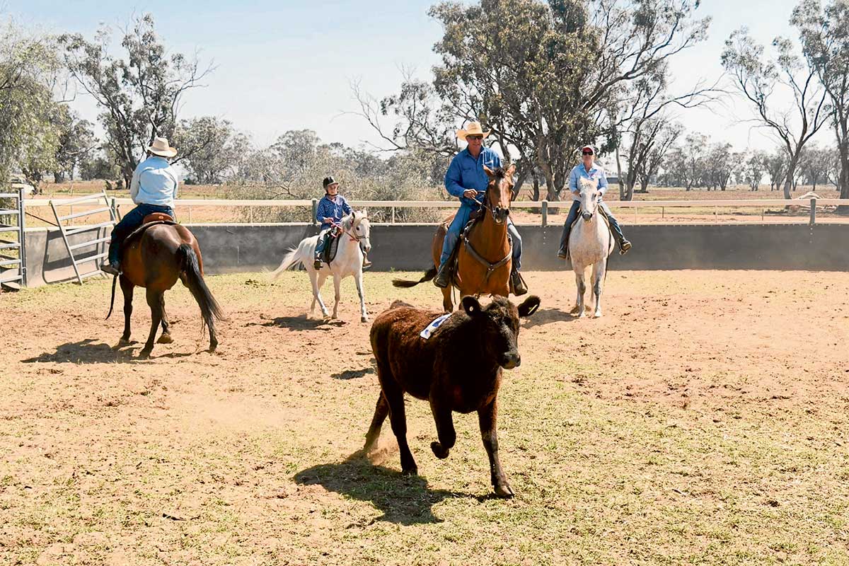 Ranch sorting raises funds for Cam Finn | The Coonamble Times