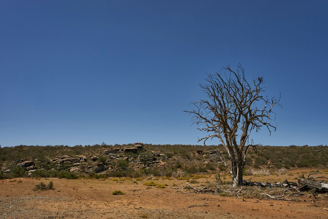 Advisory Council to give rural and remote NSW a stronger voice | The ...