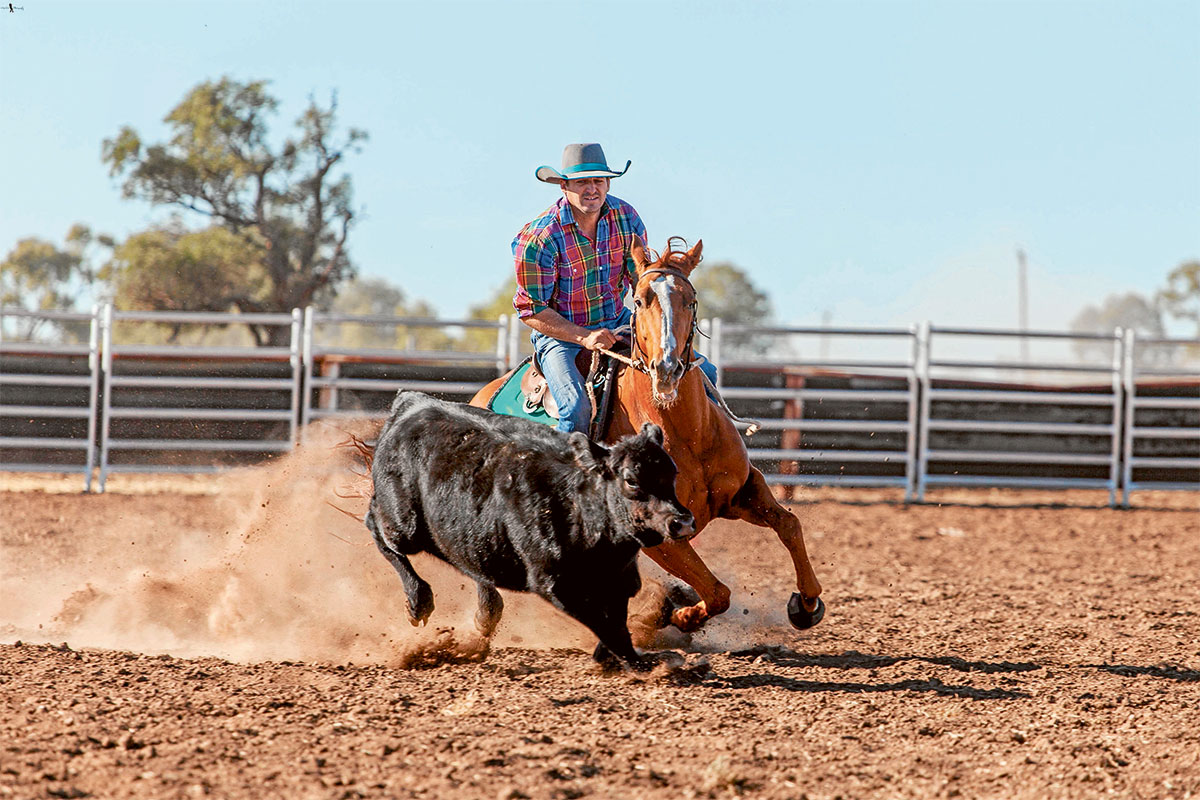No cattle = no Campdraft for 2026 Rodeo | The Coonamble Times